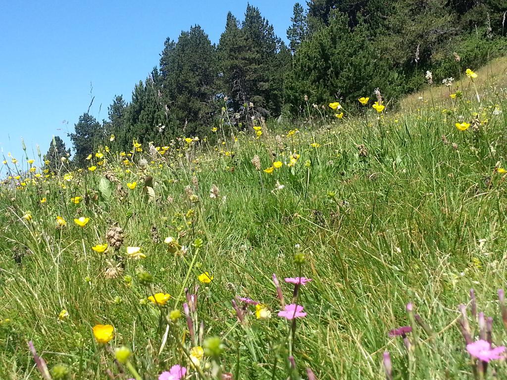 Apartaments Llempo Canillo Esterno foto